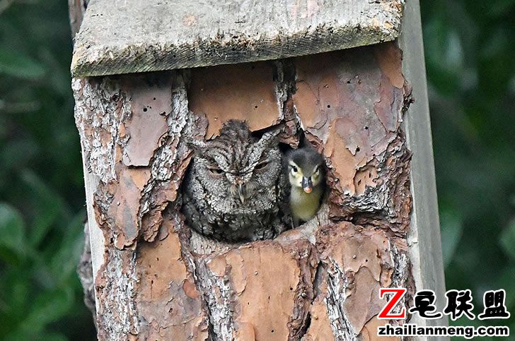 155625773-e97aaf4d-7ea2-4817-b5e6-1a1f474cc406.jpg 155625773-e97aaf4d-7ea2-4817-b5e6-1a1f474cc406.jpg