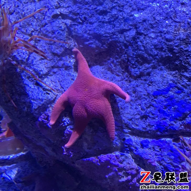 D-ViISPUcAAo9xQ.jpg D-ViISPUcAAo9xQ.jpg