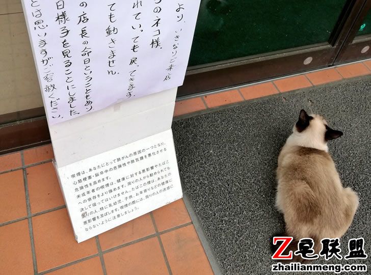 未命名-10.jpg 未命名-10.jpg