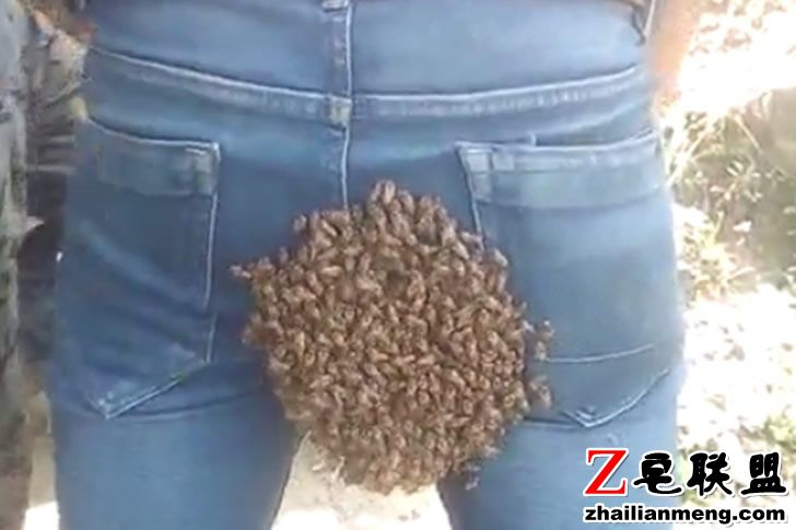 Hilarious-moment-man-gets-huge-swarm-of-bees-stuck-to.jpg