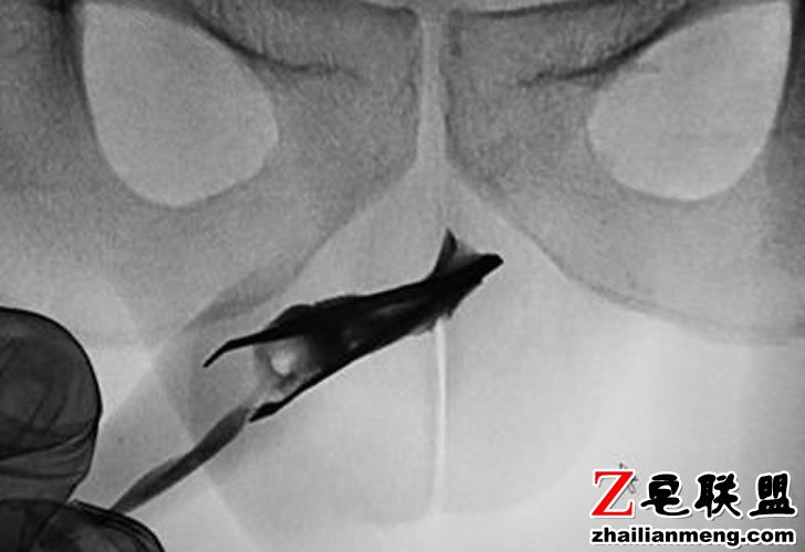 56456565465464.jpg 56456565465464.jpg