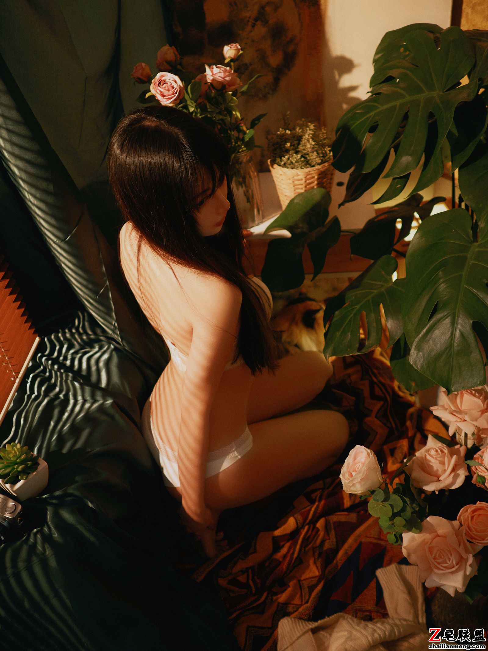 [CosPlay美女] Shika小鹿鹿 - 内衣 写真套图第7张